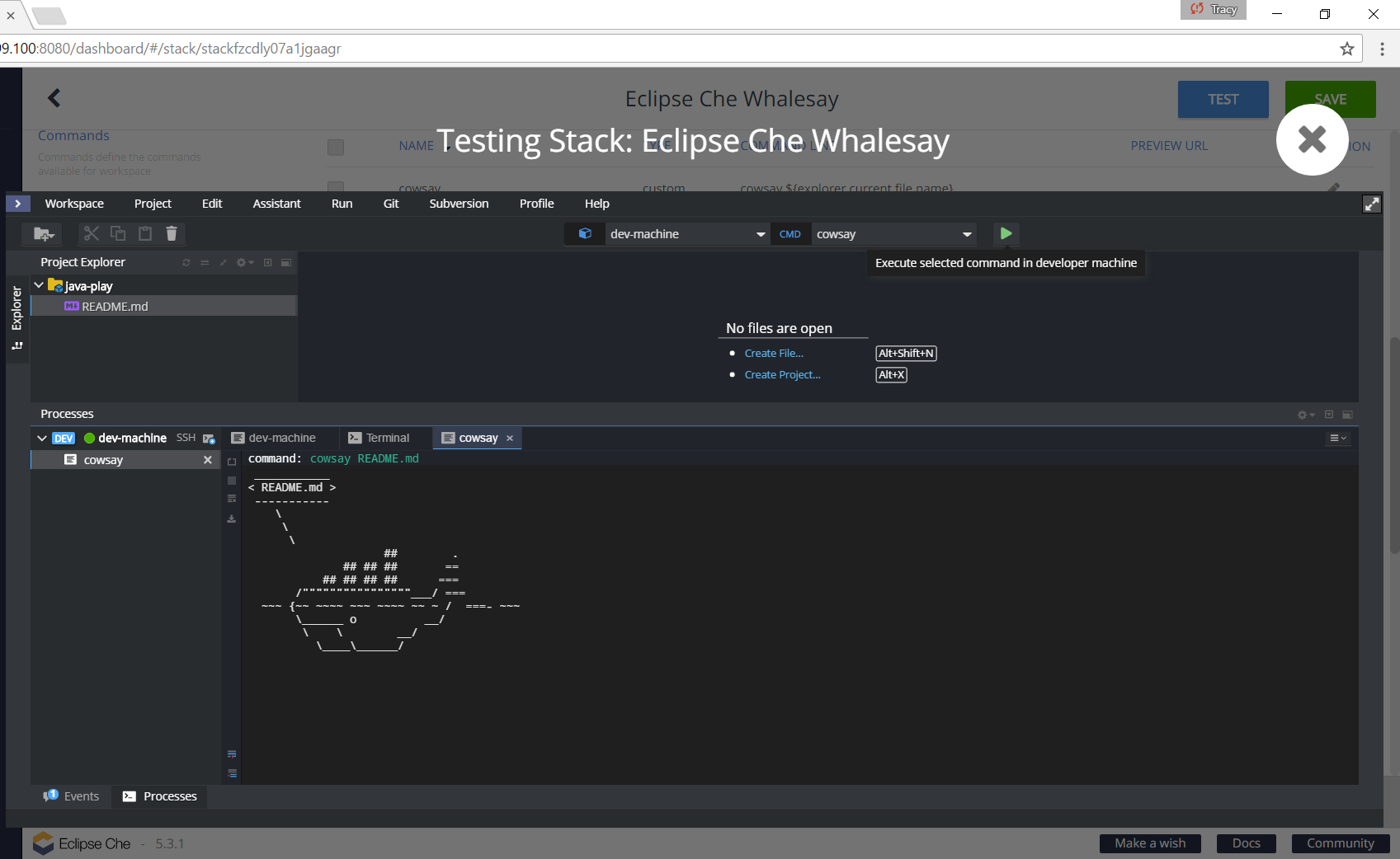 Creating a new stack in Eclipse Che from an existing Docker image ...
