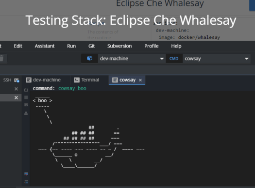 title_che_custom_whalesay